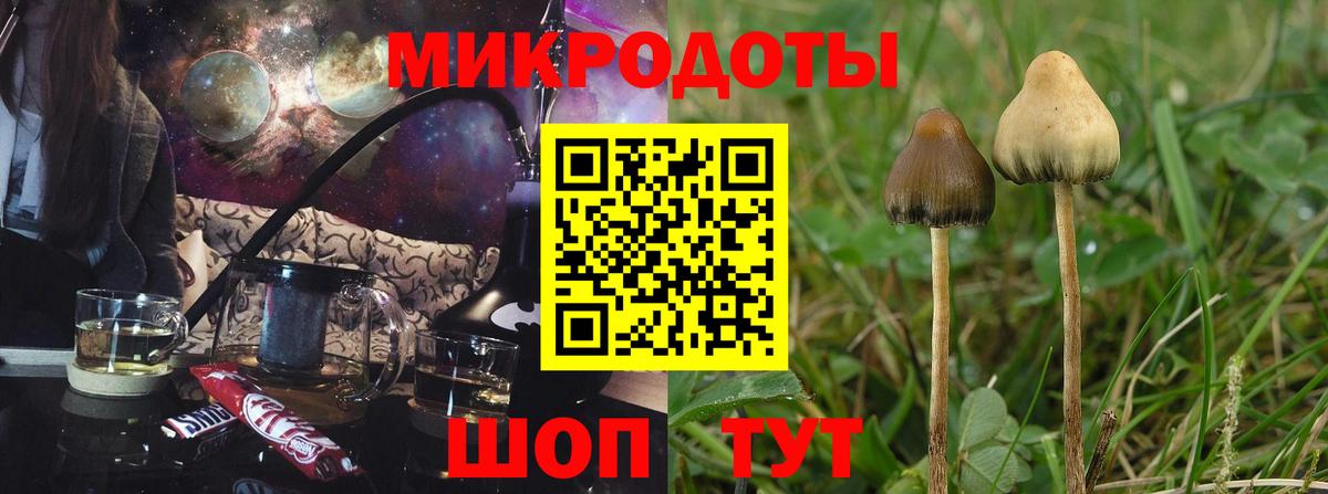 Галлюциногенные грибы Psilocybe  Вход с VPN  Урус-Мартан  Галлюциногенные грибы мухоморы 